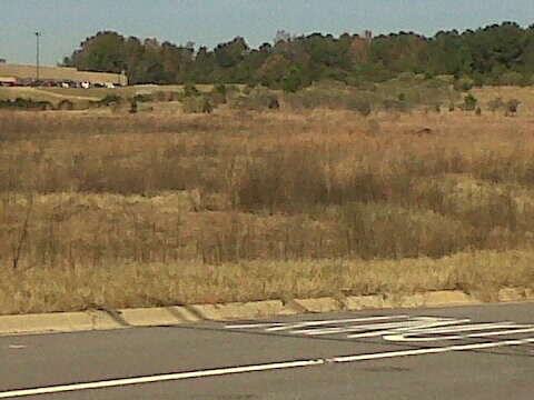 More Photos Of HIGHWAY 231 S, Troy Land For Sale