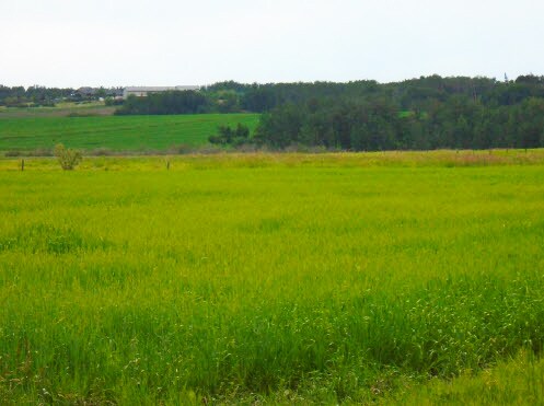 More Photos Of Range Road 281, Red Deer County Land For Sale