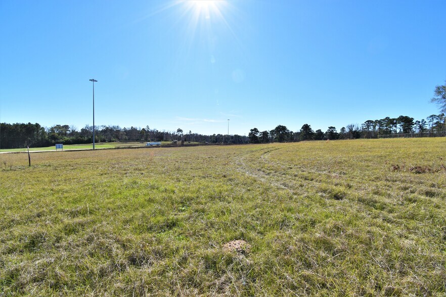 More Photos Of 0 US Highway 59, Shepherd Land For Sale