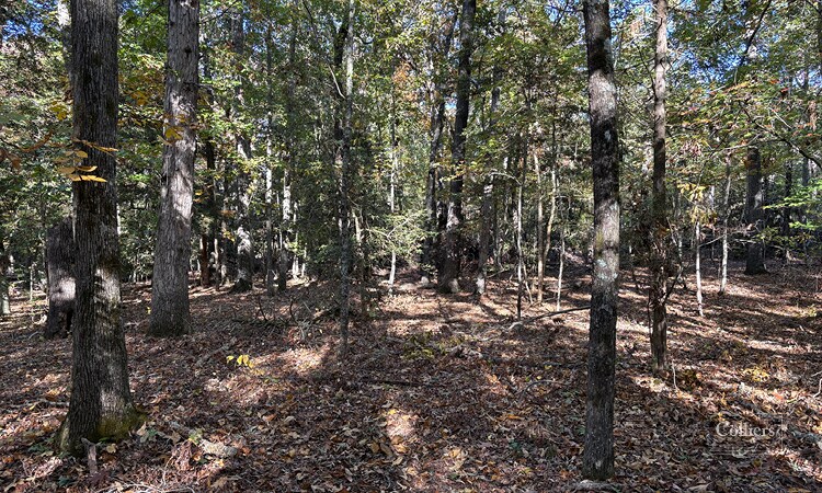 More Photos Of 00 Traynham Rd, Honea Path Land For Sale