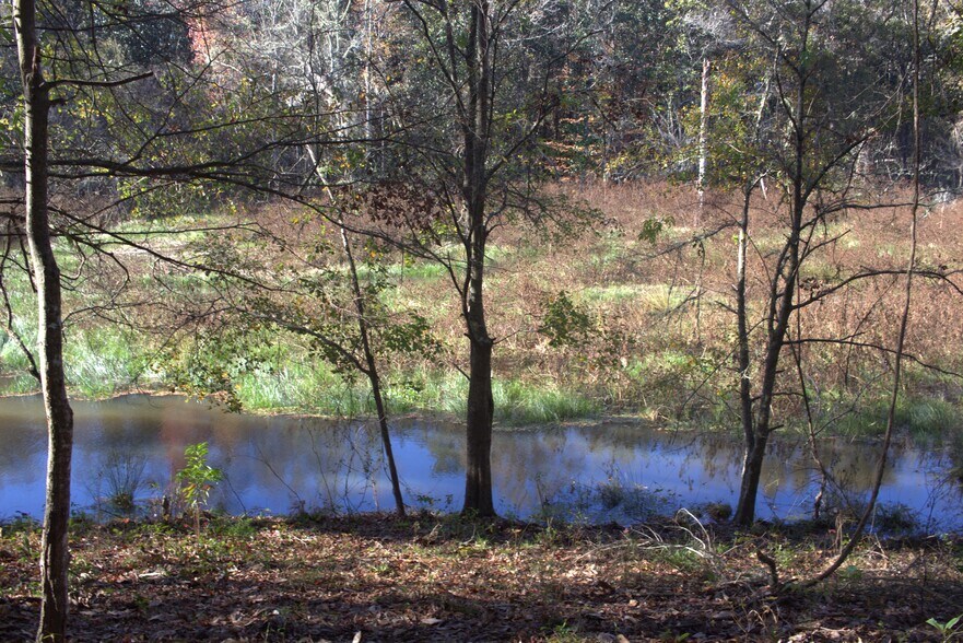 More Photos Of 4433 Pat Thomas Pky, Quincy Land For Sale