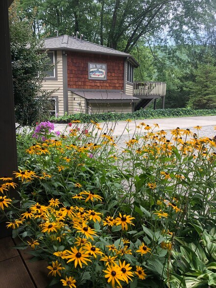 More Photos Of 19259 Rosman Hwy, Sapphire Hotel For Sale