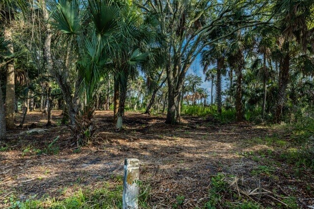 More Photos Of 3390 State Road A1A, Jacksonville Land For Sale