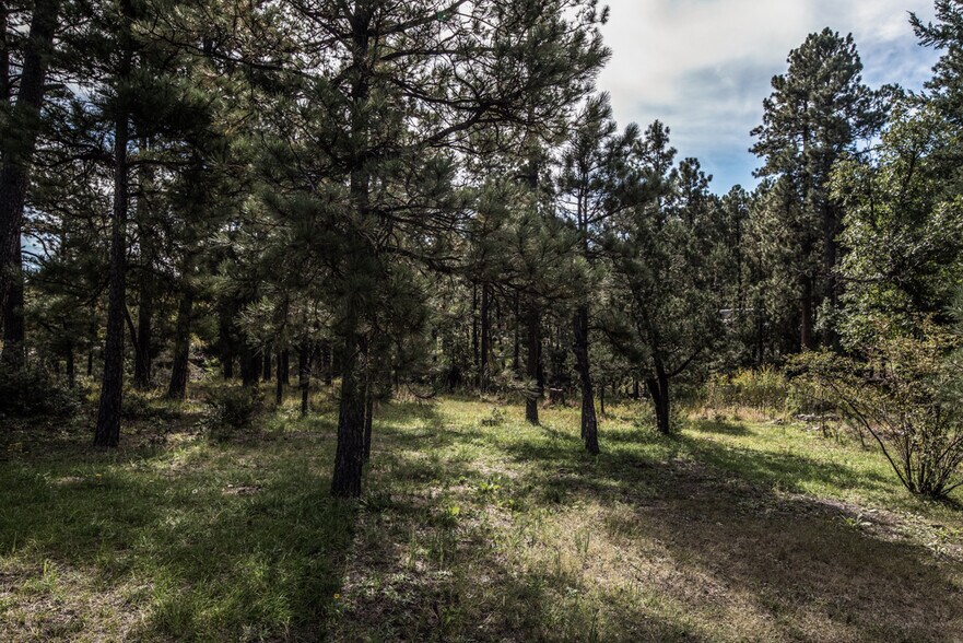 More Photos Of 159 Ski Run Rd, Alto Manufactured Housing Mobile Home Park For Sale