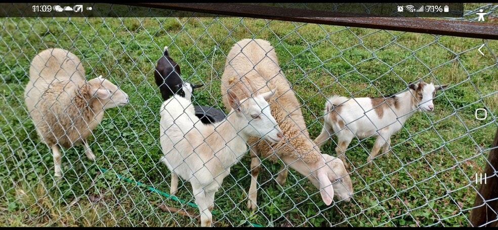 More Photos Of , Catskill Unknown For Sale