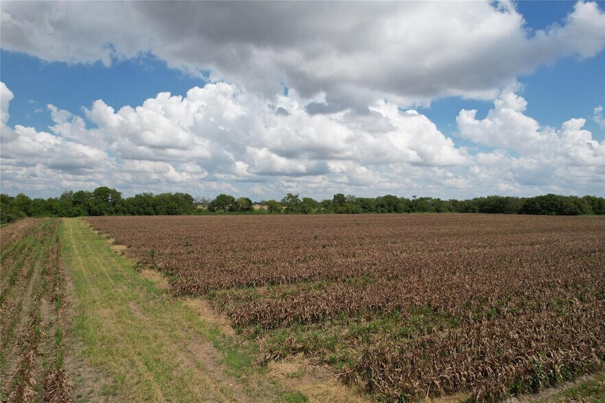 More Photos Of TBD FM 361 Road, Richmond Land For Sale