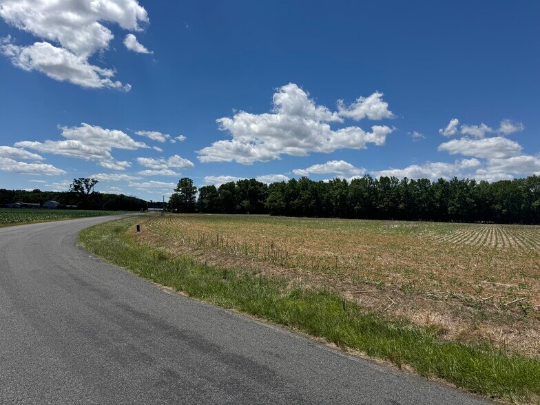 More Photos Of 953 White Marsh Branch Rd, Harrington Land For Sale