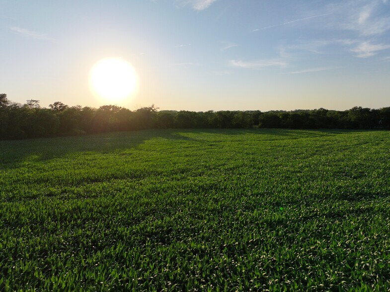 More Photos Of 12841 Wittstruck Road, Crete Land For Sale