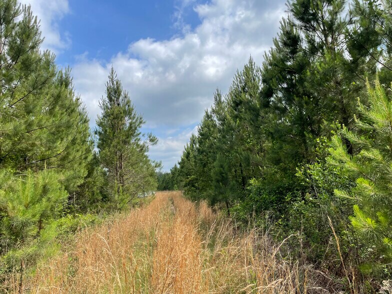 More Photos Of 425 Old River Rd, Bloomingdale Land For Sale