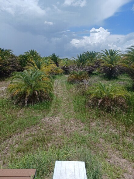 More Photos Of 46515 State Road 64 E, Myakka City Land For Sale