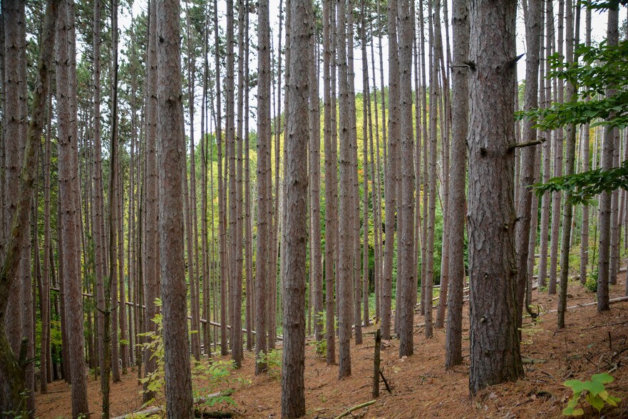 More Photos Of E Carter Rd, Traverse City Land For Sale