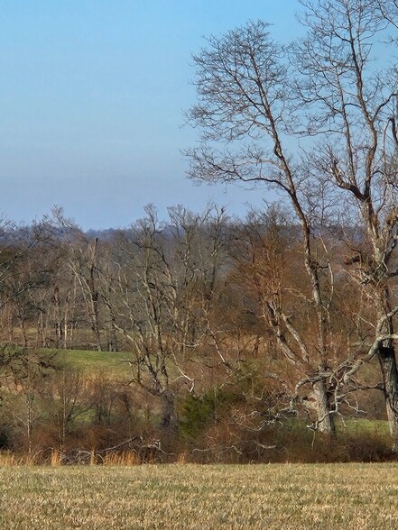 More Photos Of 8680 S Strain Ridge Rd, Bloomington Land For Sale