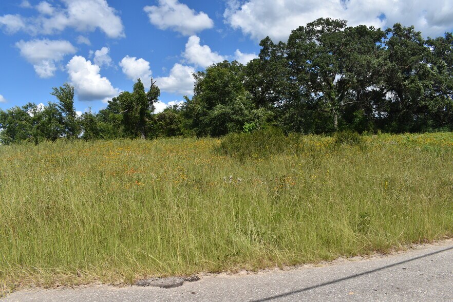More Photos Of 2200 S Royall St, Palestine Land For Sale