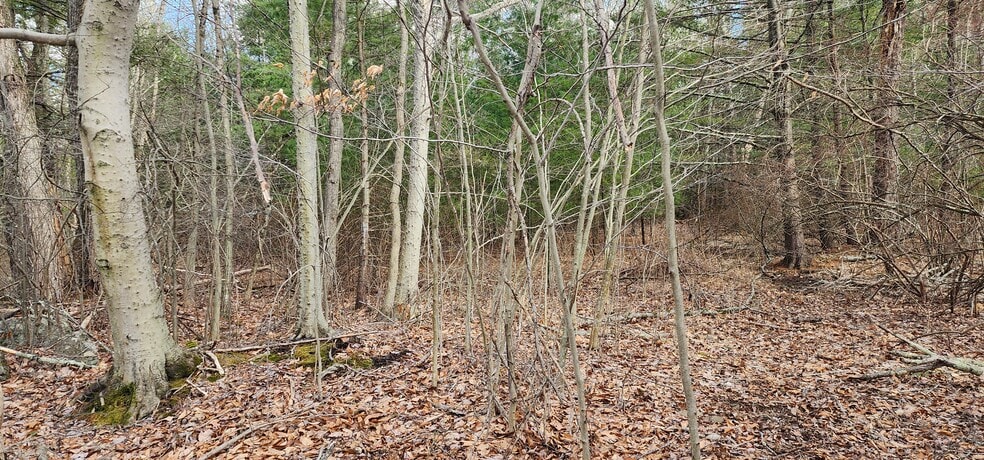 More Photos Of 42 Concord rd, Kiamesha Lake Land For Sale