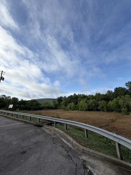 More Photos Of I-59 FREEWAY & SPRINGVILLE, Springville Land For Sale