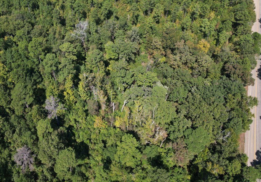 More Photos Of TBD Texas 43 hwy, Bivins Land For Sale