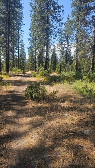 More Photos Of 0 Truck Village Road, Mount Shasta Land For Sale