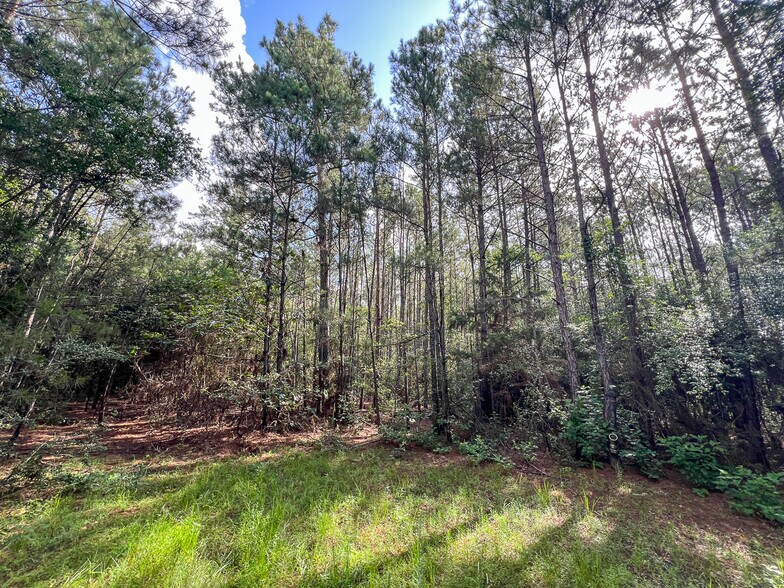 More Photos Of 00 FM 2793, New Waverly Land For Sale