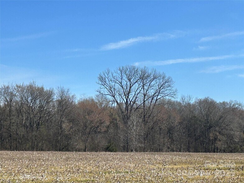 More Photos Of Intersection Falls Rd and Bridgewater rd, Rock Hill Land For Sale