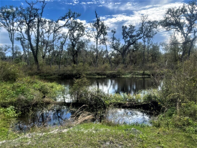 More Photos Of 28024 SR 64, Myakka City Land For Sale