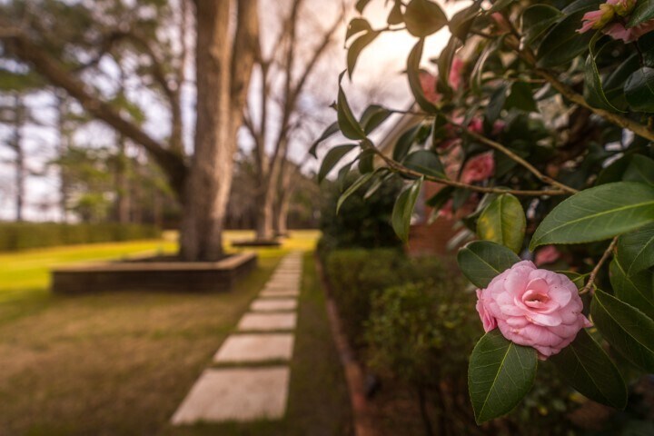 More Photos Of 2589 Sidney Cherry Grove Rd, Clarendon Specialty For Sale