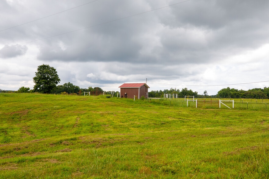More Photos Of 3262 County Road 6, Hackleburg Land For Sale