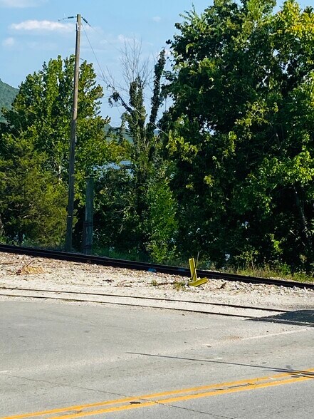 More Photos Of 100 Main st, Calico Rock Specialty For Sale