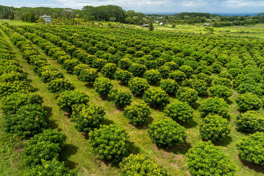 More Photos Of 17-4150 Huina Rd., Kurtistown Land For Sale