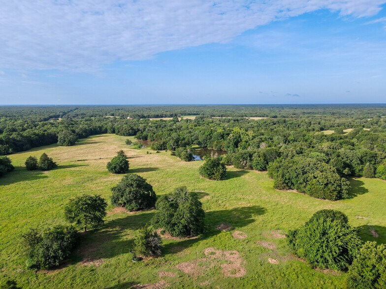 More Photos Of Intersection of FM 2029 and FM 409, Telephone Land For Sale