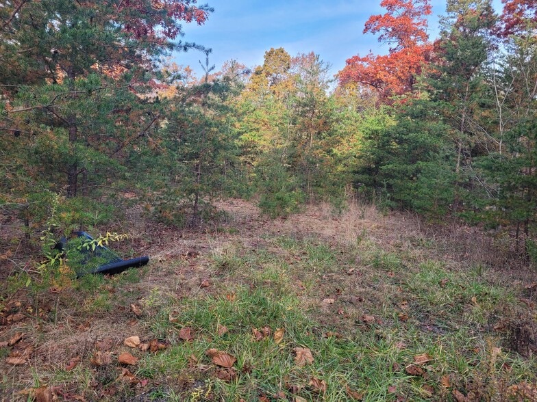 More Photos Of Lot 26 Cabin Run -1, Bloomery Land For Sale