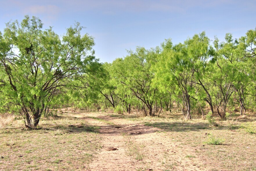 More Photos Of FM 574, Goldthwaite Land For Sale
