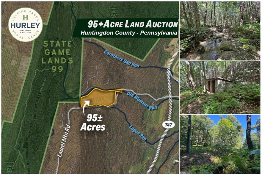 Primary Photo Of 0 Laurel Mountain Rd, Three Springs Land For Sale