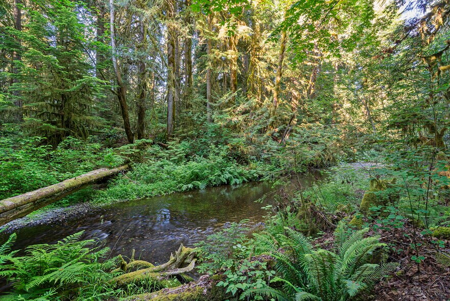 More Photos Of 1052 E Mason Lake Dr W, Grapeview Land For Sale