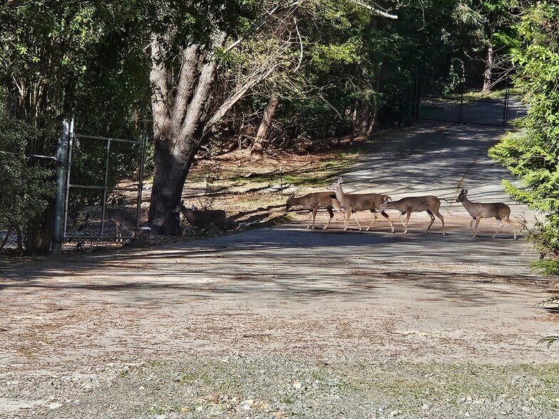 More Photos Of 3769 Rogers Bridge Rd, Duluth Land For Sale
