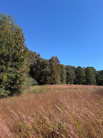 More Photos Of Erastus Church rd, Commerce Land For Sale