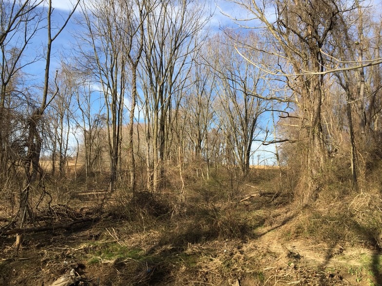 More Photos Of Red Pump Rd, Rising Sun Land For Sale