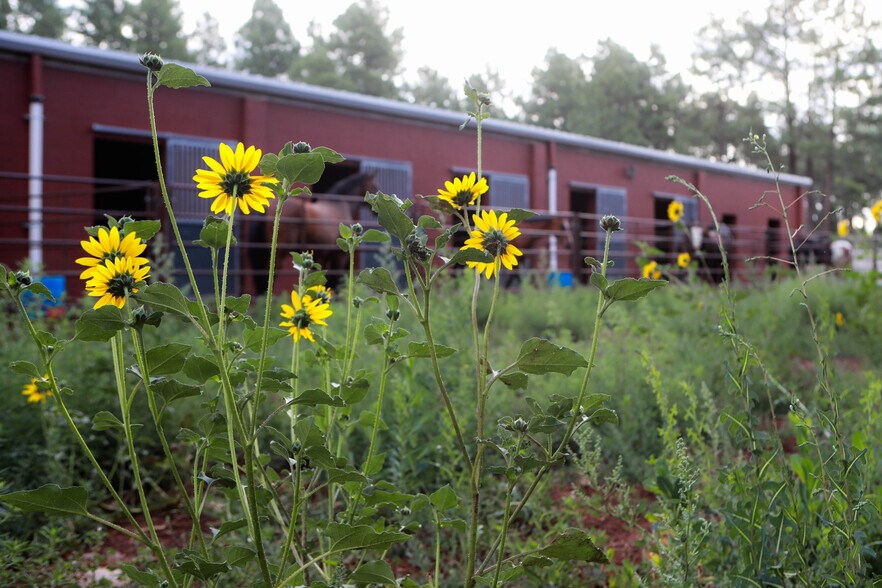 More Photos Of 2600 W Kiltie Ln, Flagstaff Horse Stables For Sale