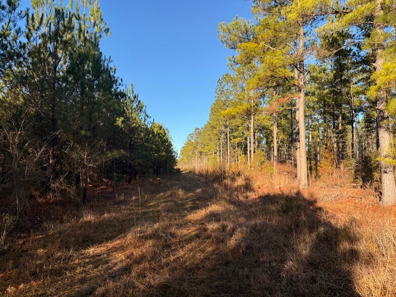 More Photos Of Repose Drive Rd, Branchville Land For Sale