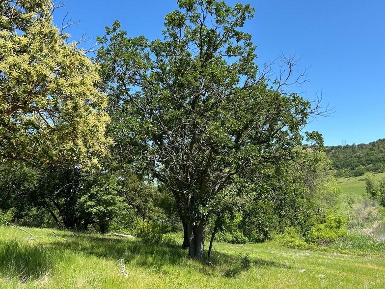 More Photos Of 5908 Foothill Rd, Central Point Land For Sale