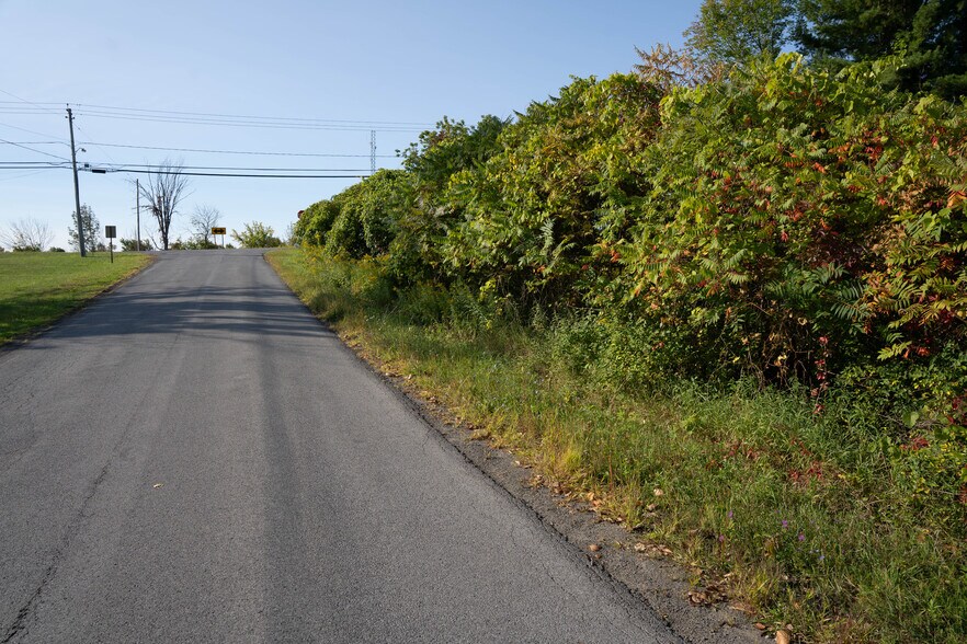 More Photos Of 219 Mudge rd, Delanson Land For Sale