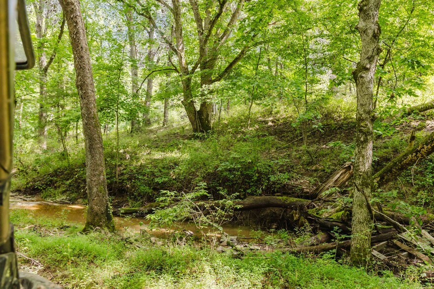 More Photos Of 7438 Bagdad Rd, Bagdad Land For Sale