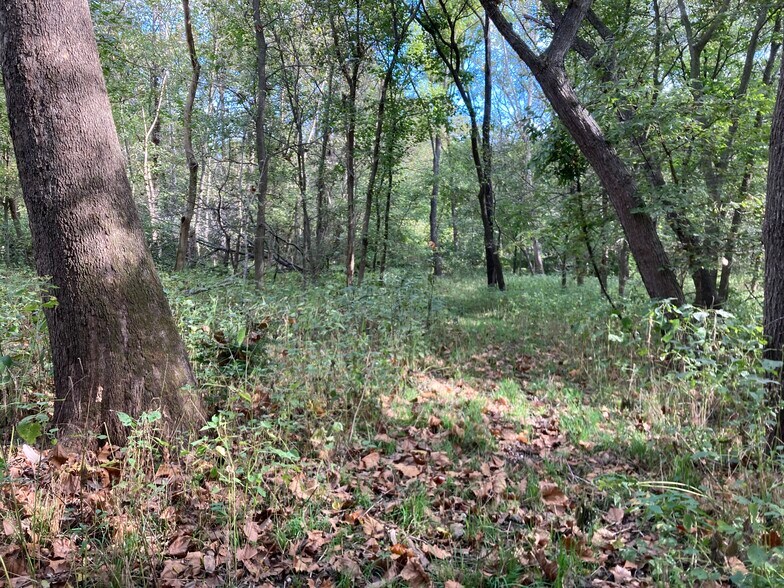 More Photos Of 22413 Highway C, Lawson Specialty For Sale