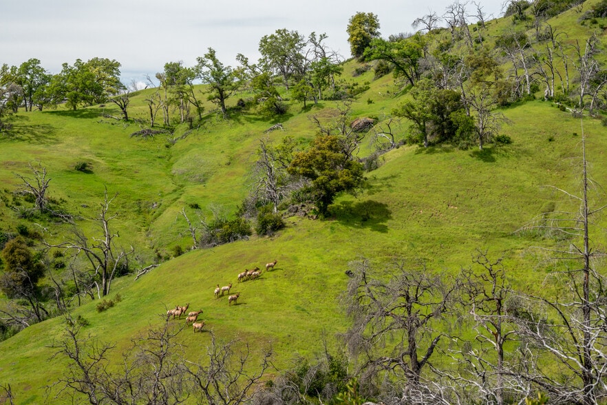 More Photos Of 11535 East Rd, Redwood Valley Land For Sale