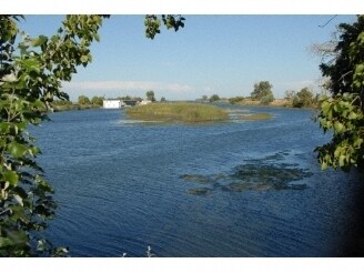 More Photos Of Holland Tract Rd, Knightsen Land For Sale