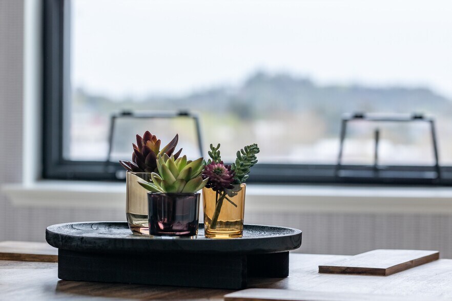 More Photos Of 1380 N California Blvd, Walnut Creek Apartments For Lease