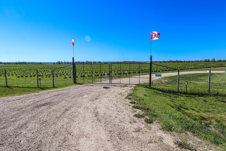 More Photos Of 705068 82 -1, Wembley General Retail For Sale