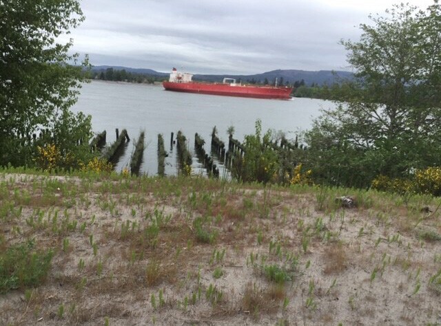 More Photos Of 93893 Clifton Rd, Westport Land For Lease