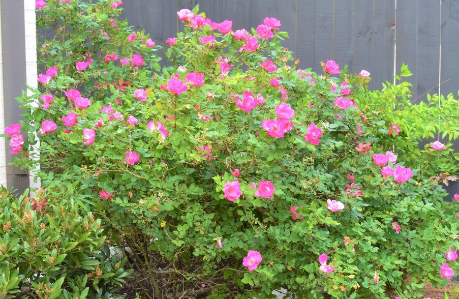 More Photos Of 1830 Peachtree Pky, Cumming Medical For Sale