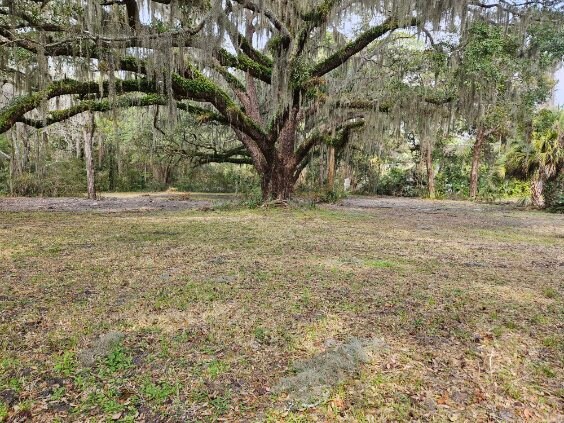 More Photos Of 474455 E Sr 200 Highway A1A, Fernandina Beach Land For Lease