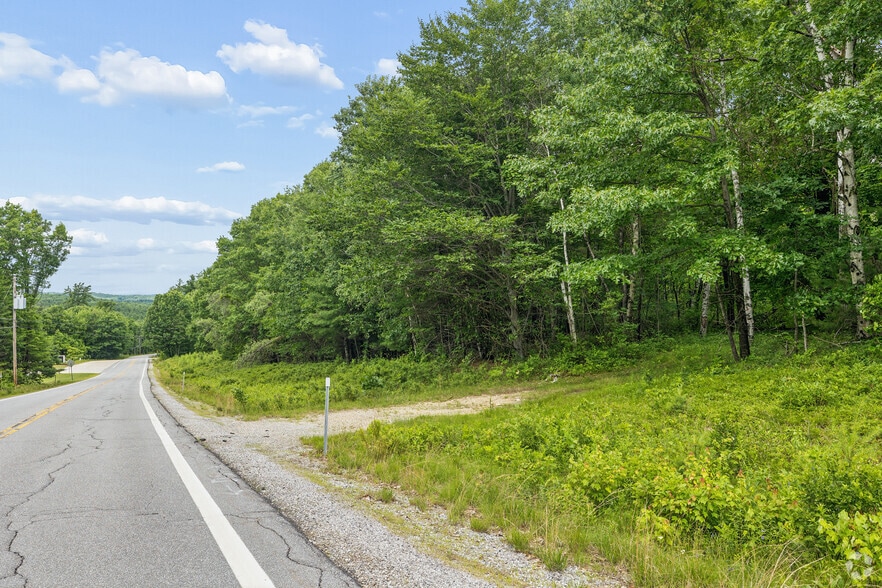 More Photos Of 111 Chestnut Hill Rd, New Boston Land For Sale